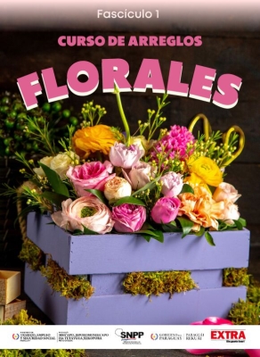 Fascículos Ultima Hora